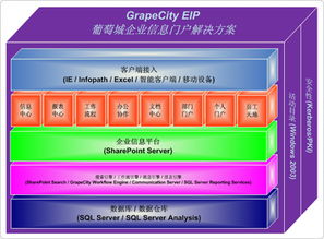 葡萄城服務 企業(yè)信息門戶與工作流管理的高效整合方案